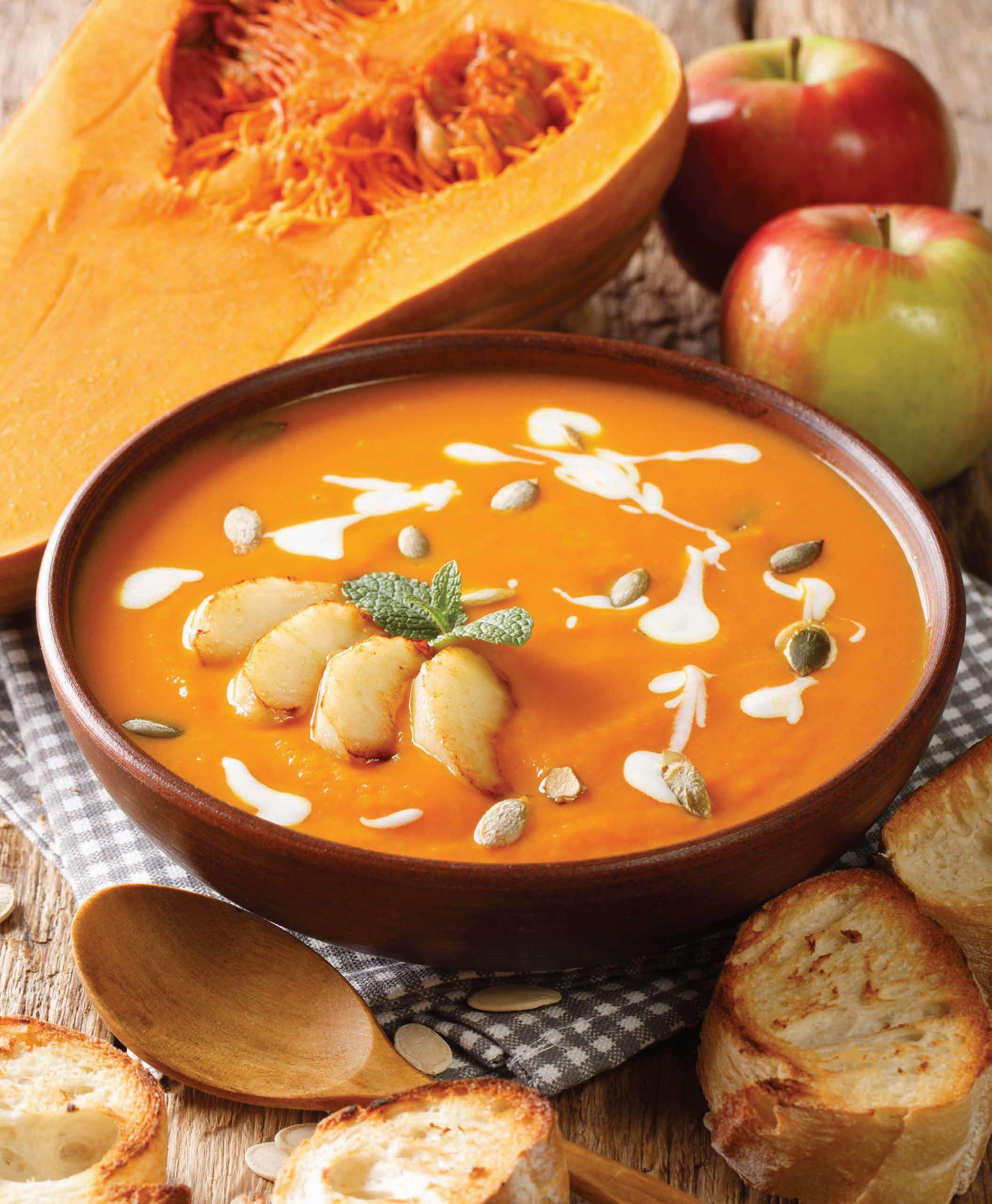 Butternut Squash Soup